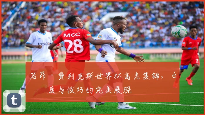 若昂·费利克斯世界杯高光集锦，速度与技巧的完美展现