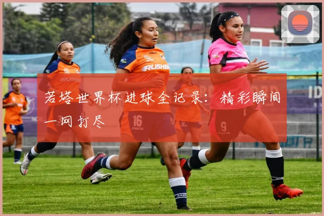 若塔世界杯进球全记录：精彩瞬间一网打尽