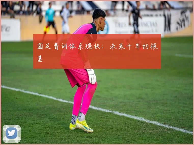 国足青训体系现状:未来十年的根基